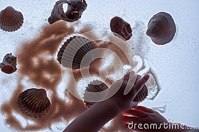 Babyâ€™s hand, sand and seashells on light table. Stock Photo